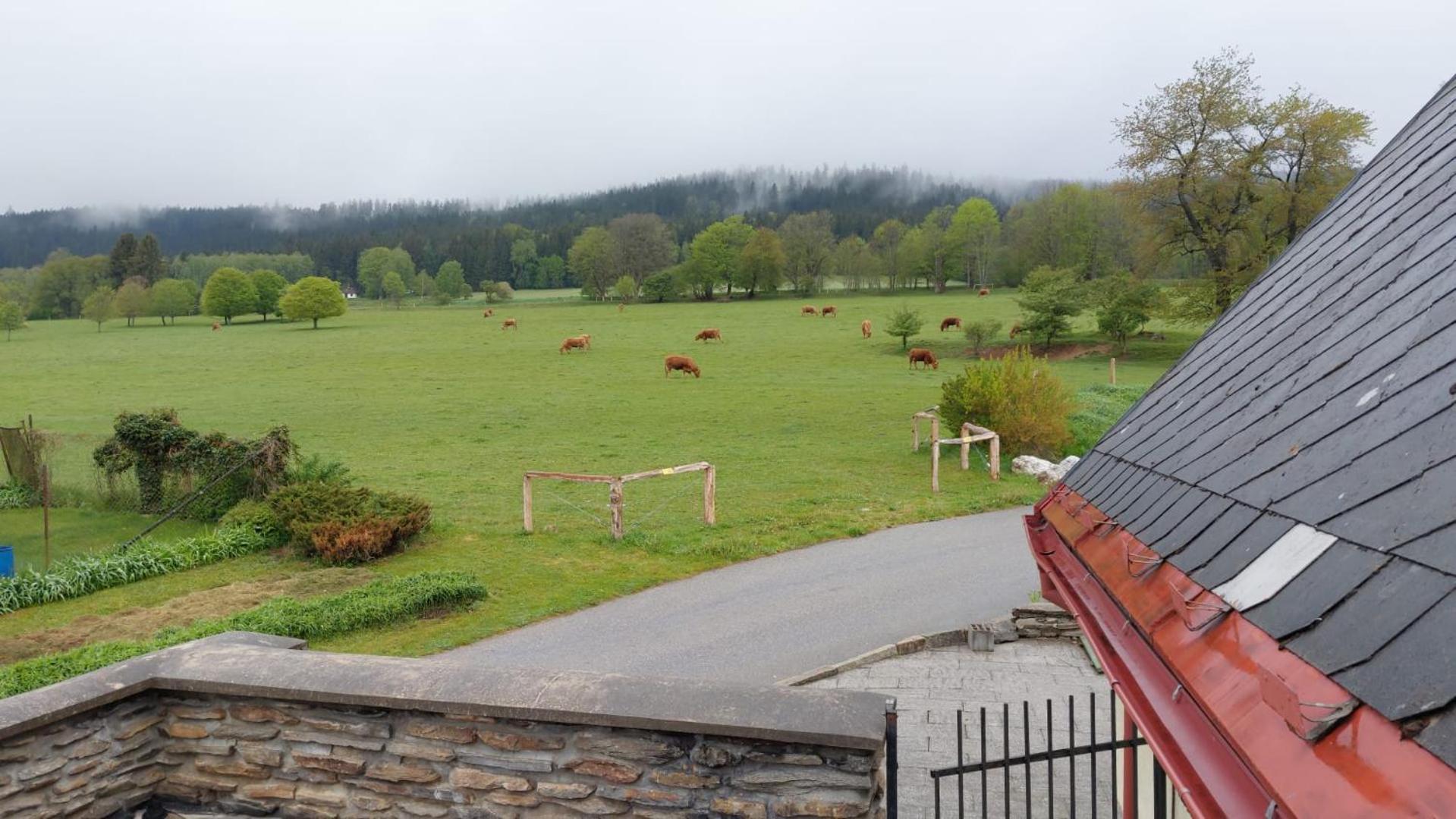 Penzion Slupecna Lipno nad Vltavou Kültér fotó